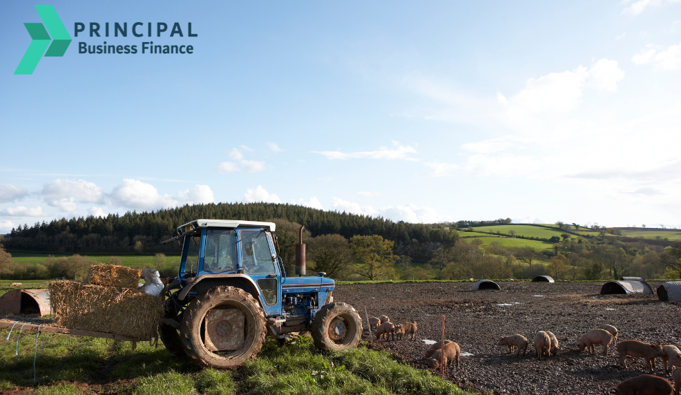 Tractor in sunny weather farming